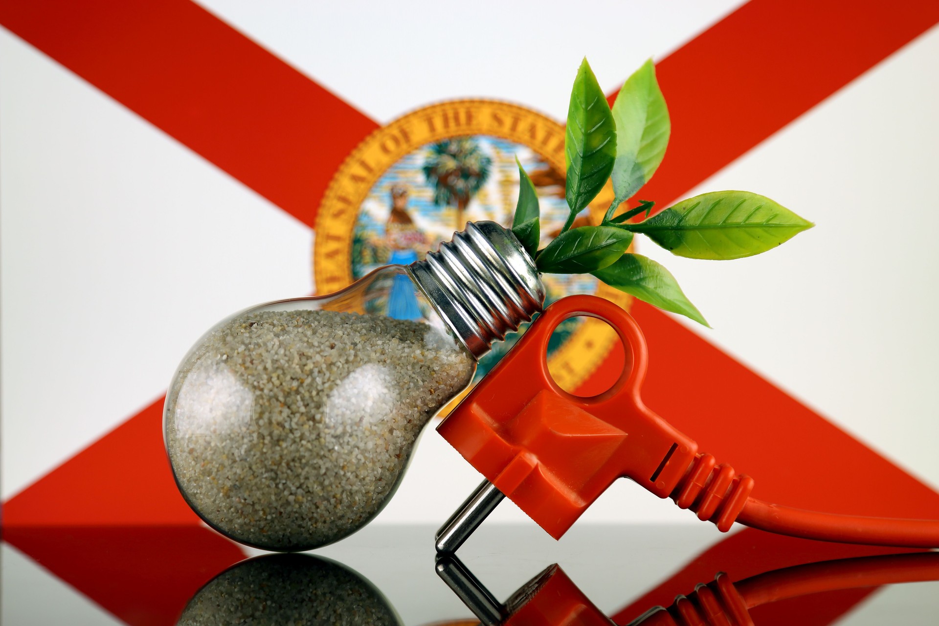 Plug, plant growing inside the light bulb and Florida State Flag. Green eco renewable energy concept.